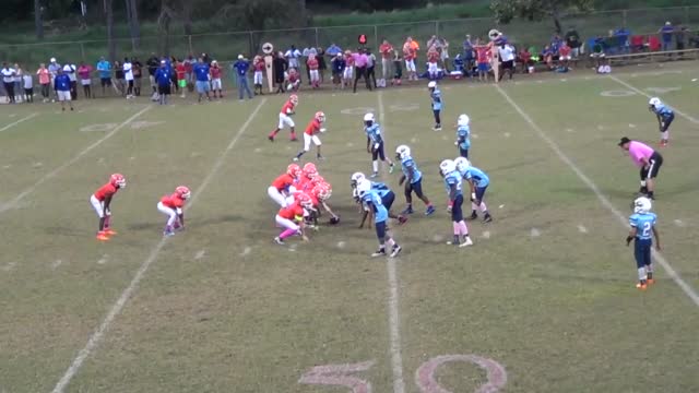 Jr Pee Wee Orange Tcc Palm Beach Gardens Gators Palm Beach